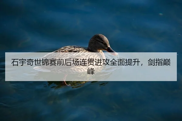 shi-yu-qi-shi-jin-sai-qian-hou-chang-lian-guan-jin-gong-quan-mian-ti-sheng-jian-zhi-dian-feng-2-280.jpg